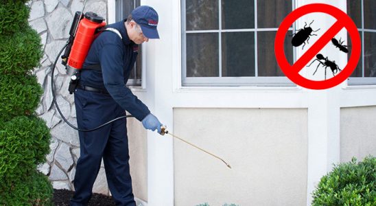 Soğukkuyu Gümüşkurt İlaçlama böcek ilaçlama ve haşere kontrolü — ilaclama-tr.com